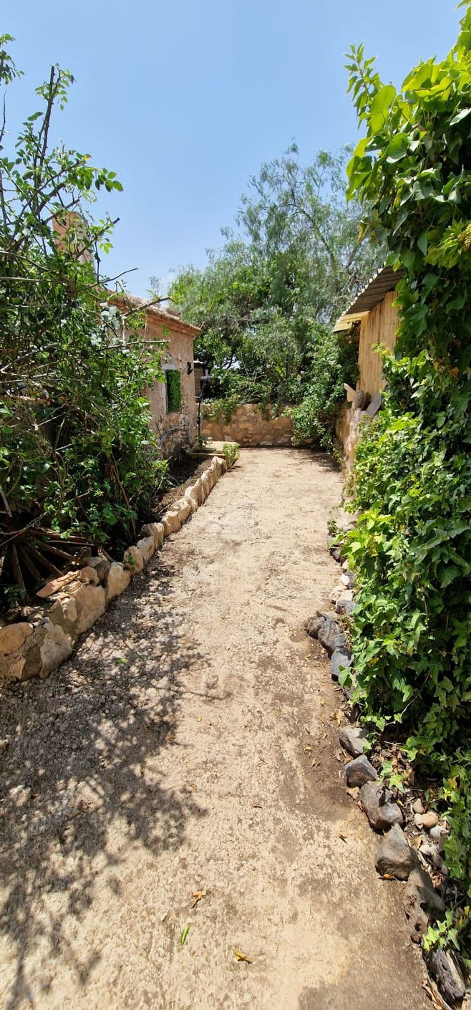 Finca rústica en Paraje Nogueras, 26 - Foto 10