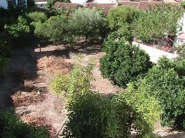 Finca rústica en  Calle Parradas 13 - Foto 39