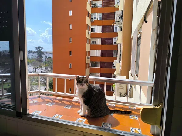 Piso en Barriada de San Diego, 34, Los Carteros - San Diego - Foto 12