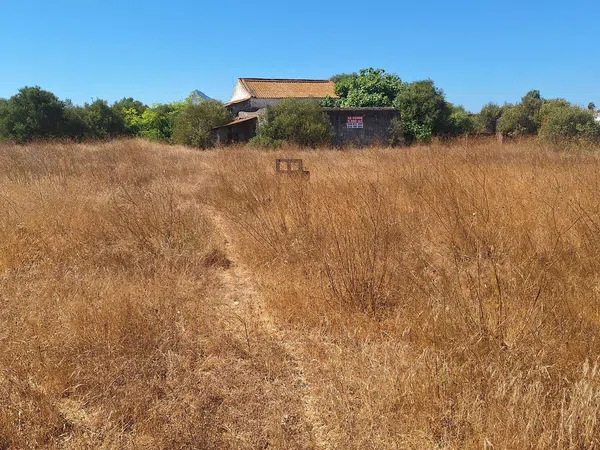 Finca rústica en Pasaje Estepona, 2, El Zabal-Santa Margarita, El Zabal-Santa Margarita - Foto 1