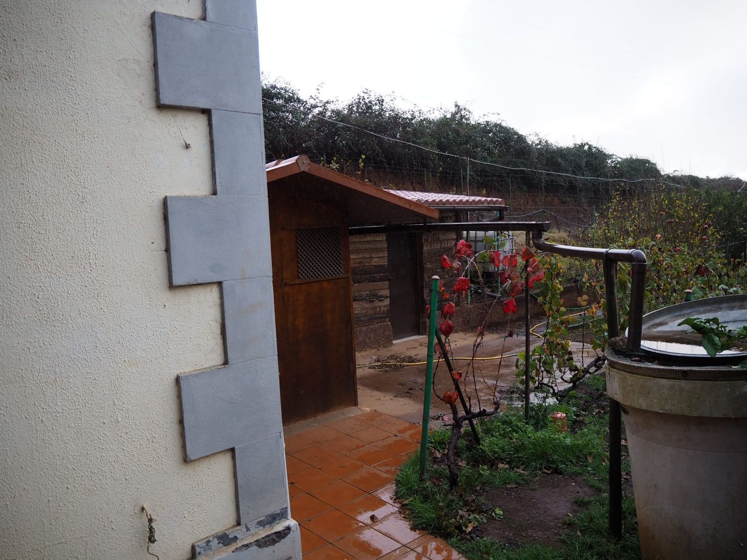 Casa independiente en calle el Sino, 37 - Foto 11