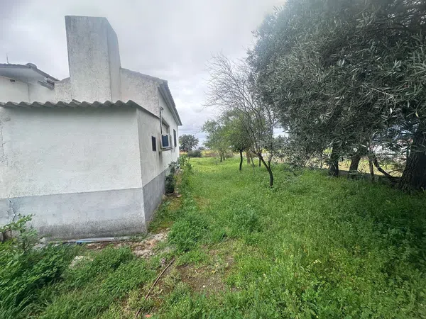 Finca rústica en Calle Pozoblanco s/n - Foto 25