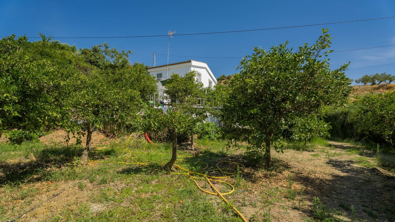 Casa o chalet independiente en Carril de Tolox a Golondrina, 1 - Foto 18