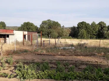 Finca rústica en  Avenida Gabriel y Galán 2 - Foto 8