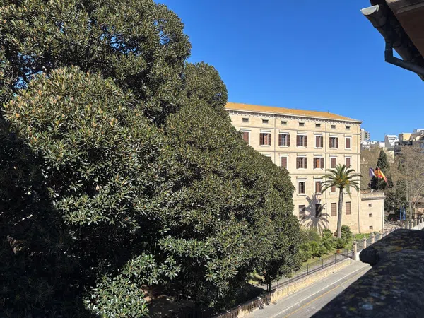 Ático en jardín botánico, 8 - Foto 1