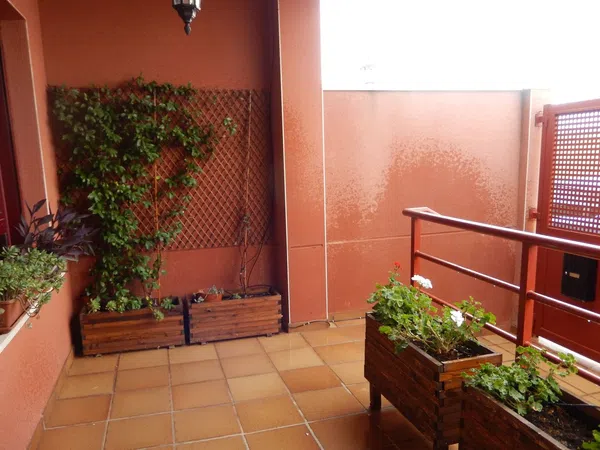 Chalet adosado en Calle Proyecto 8, 1 - Foto 5