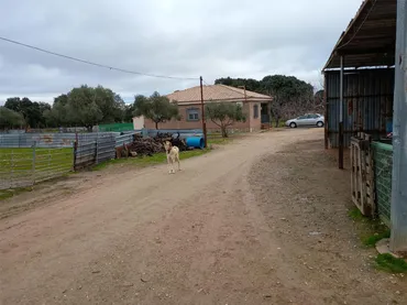 Finca rústica en  Calle del Cerrillo 4 - Foto 2