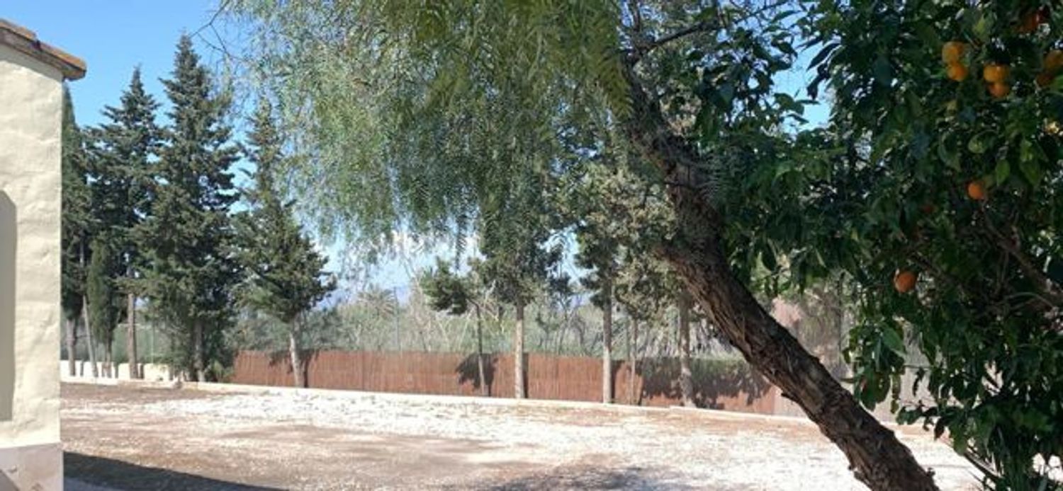 Casa rural en Cv-853, 2028, La Marina, La Marina - Foto 34