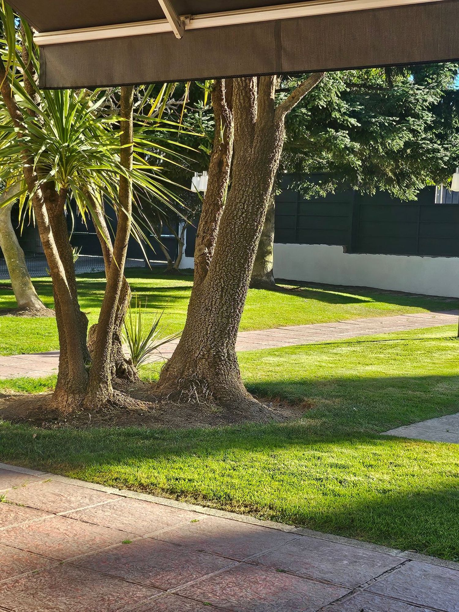 Casa independiente en El Olivar de Mirabal - Foto 17