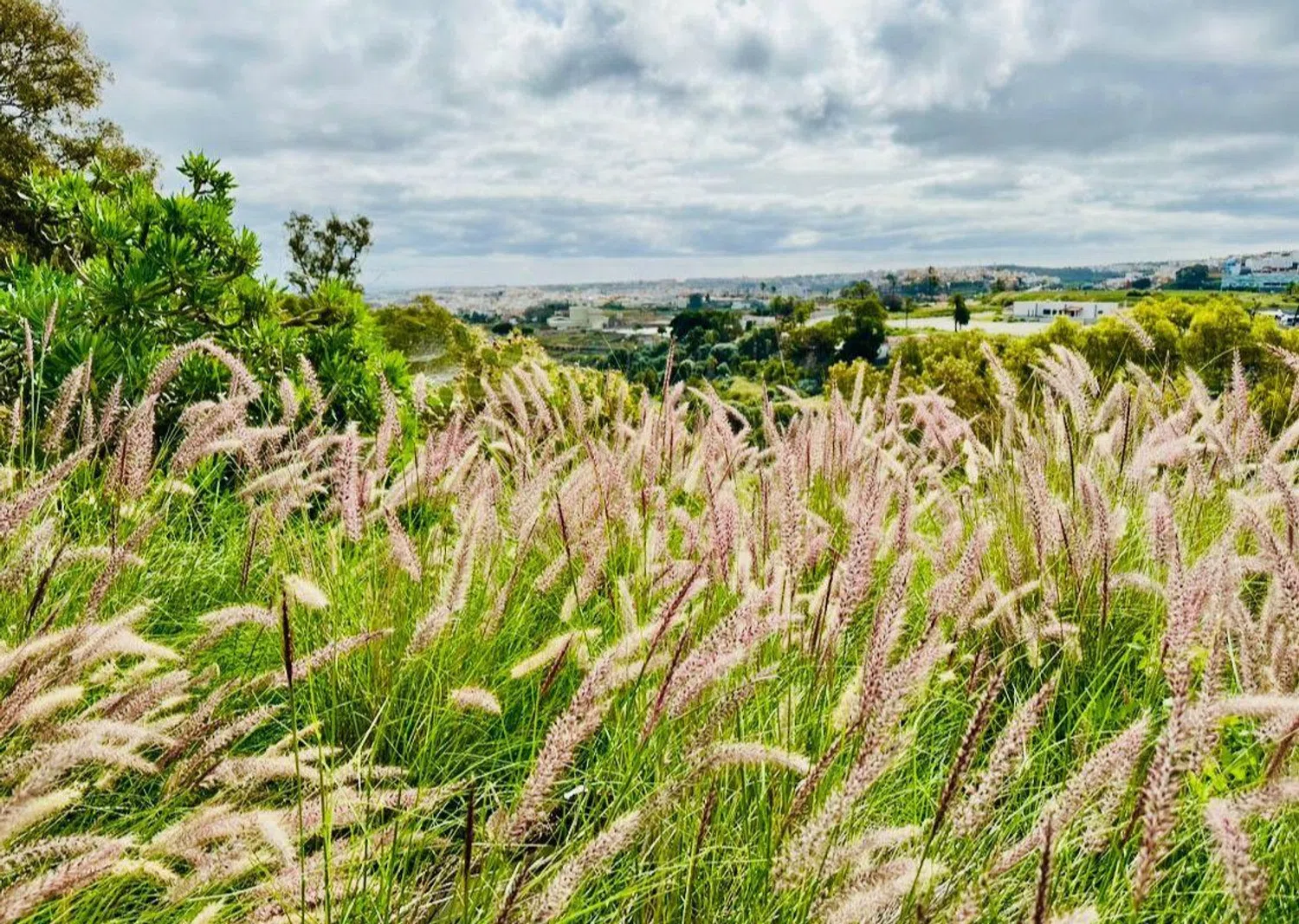 Piso en calle Poetisa Agustina Romero, 33 - Foto 4