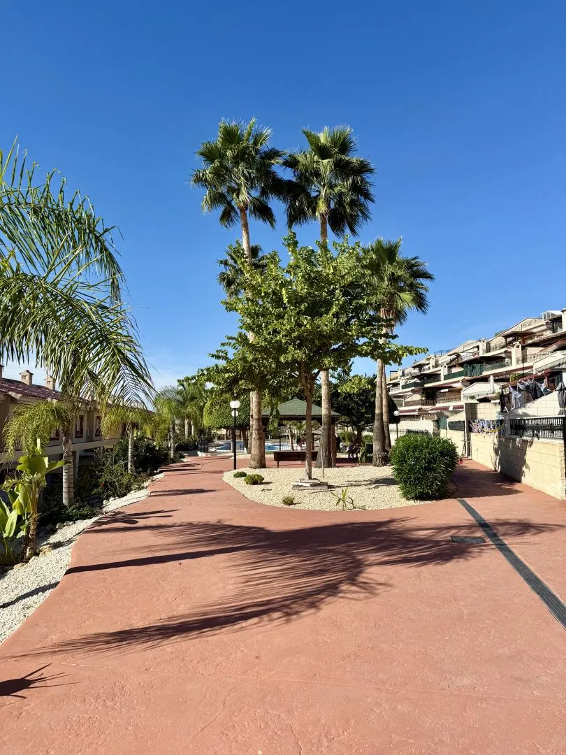 Planta baja en  Carrer de l'Algeps 878B - Foto 20