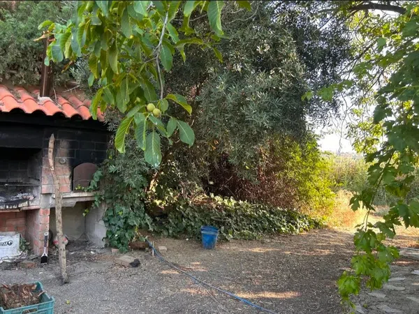 Finca rústica en Polígono 1, 3 - Foto 6