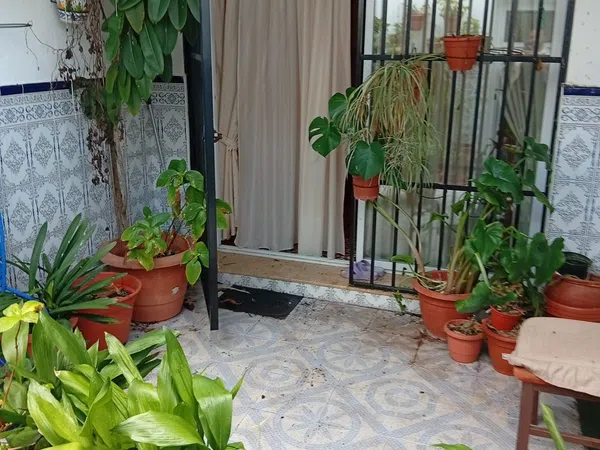 Casa o chalet independiente en Calle Reliquias, 33 - Foto 7