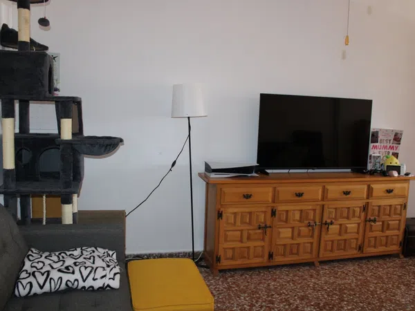 Casa o chalet independiente en Calle Virgen del Pilar, 18, Torre de la Horadada, Torre de la Horadada - Foto 10