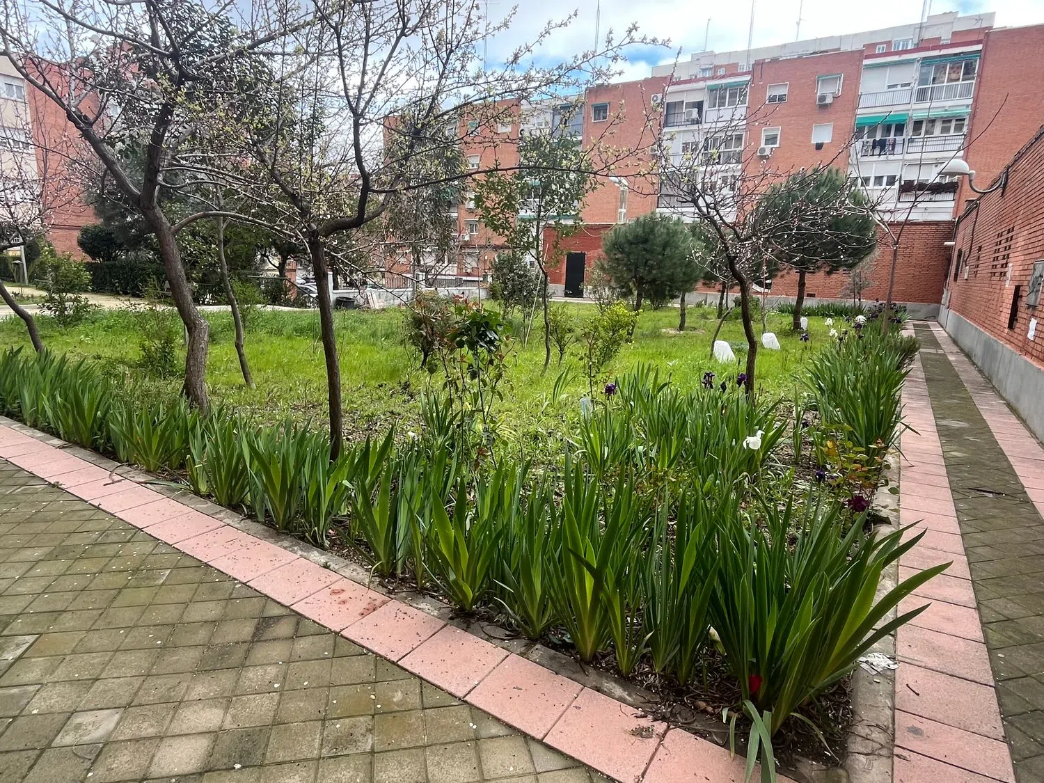 Piso en calle de Melchor Fernández Almagro, 64 - Foto 17