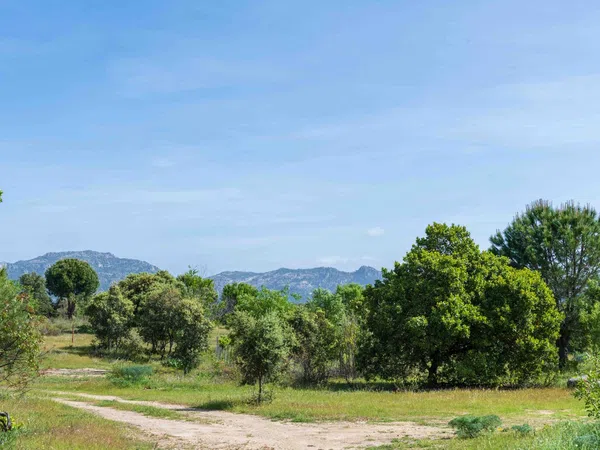 Casa rural en Camino de los Molinos s/n - Foto 4