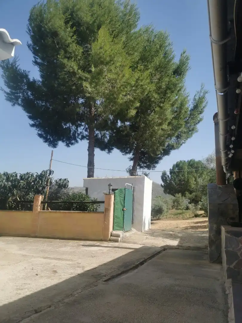 Finca rústica en  Plaza Llanete de Arriba 2 - Foto 10
