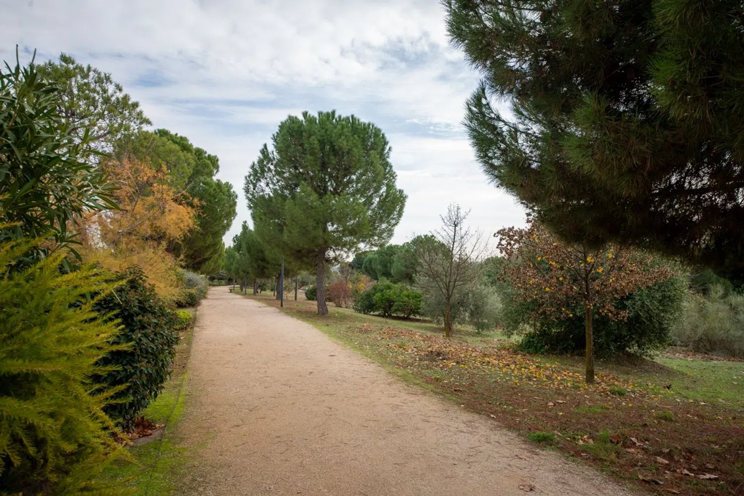 Piso en carretera de Húmera, 96 - Foto 21