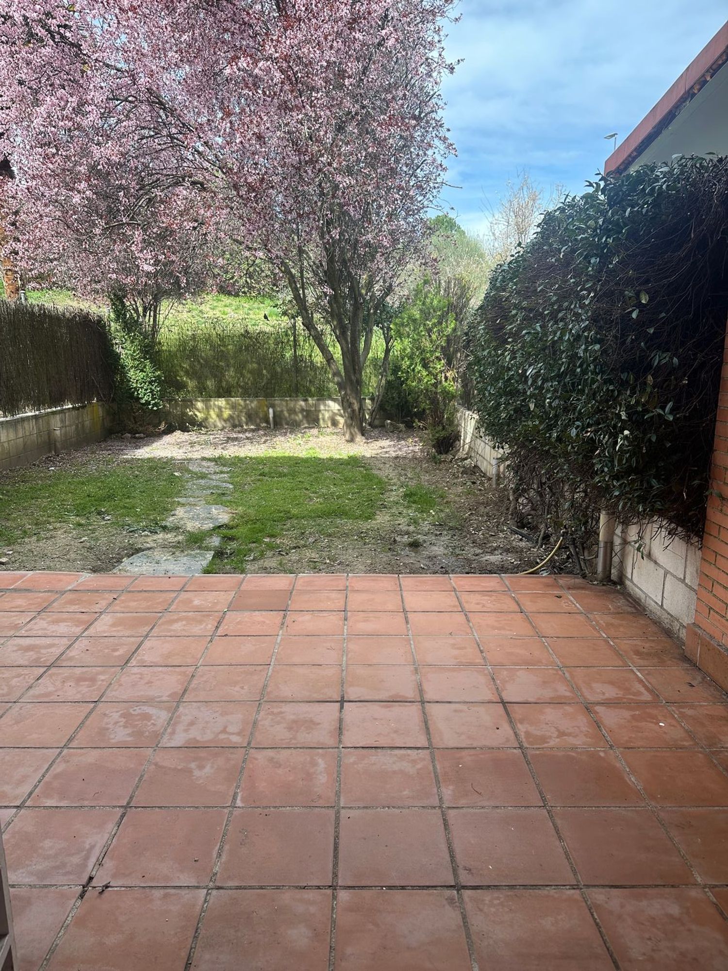 Chalet pareado en avenida de Francisco Guerrero, 2 - Foto 3