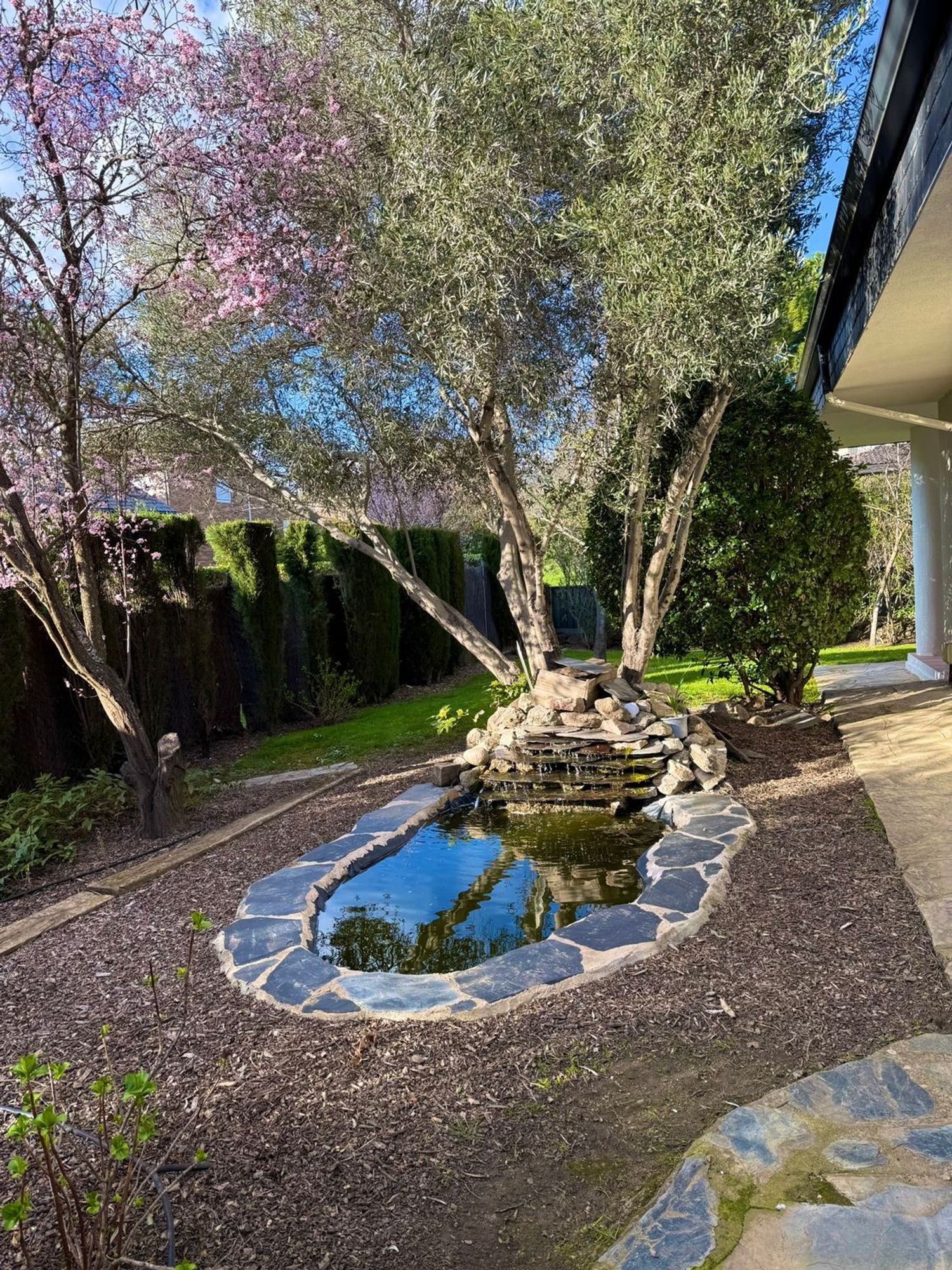 Casa independiente en Navalquejigo - Los Arroyos - Foto 5