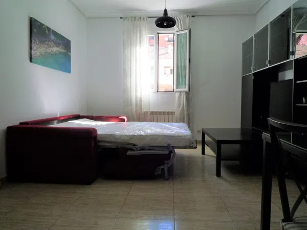 Piso en calle de Arriaza, 12 - Foto 6