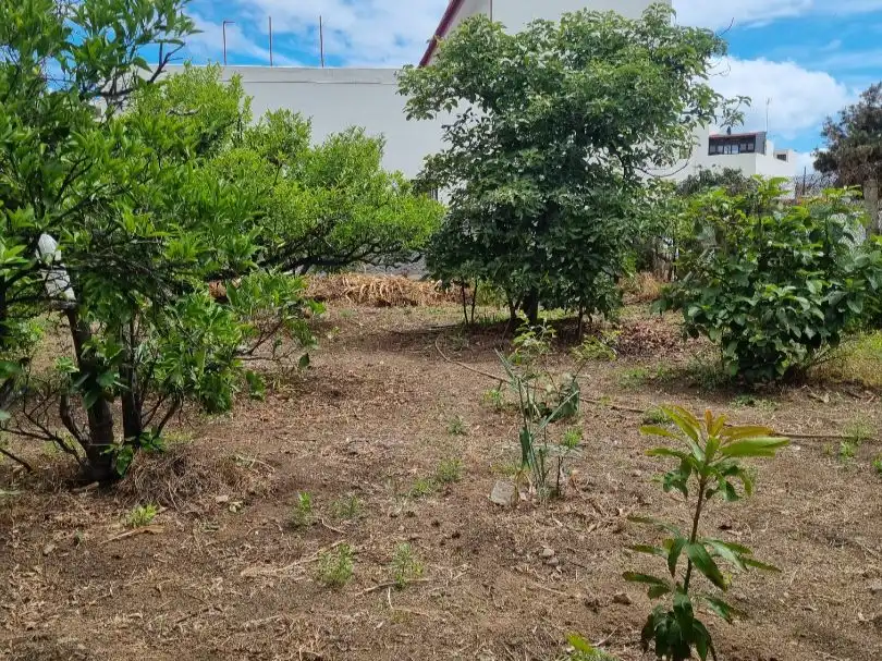 Terreno Residencial en  Lugar Llanos de Cuatro Caminos 122 - Foto 7