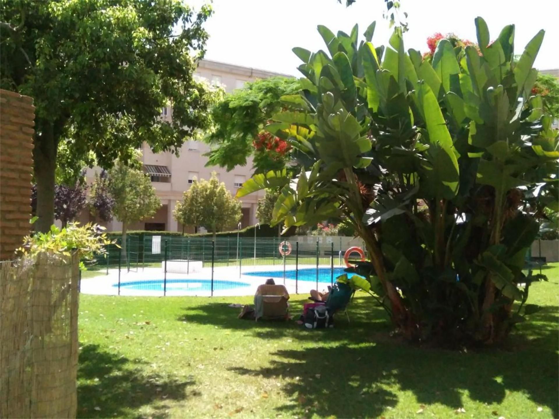 Piso en  Avenida Plutarco 59 - Foto 2