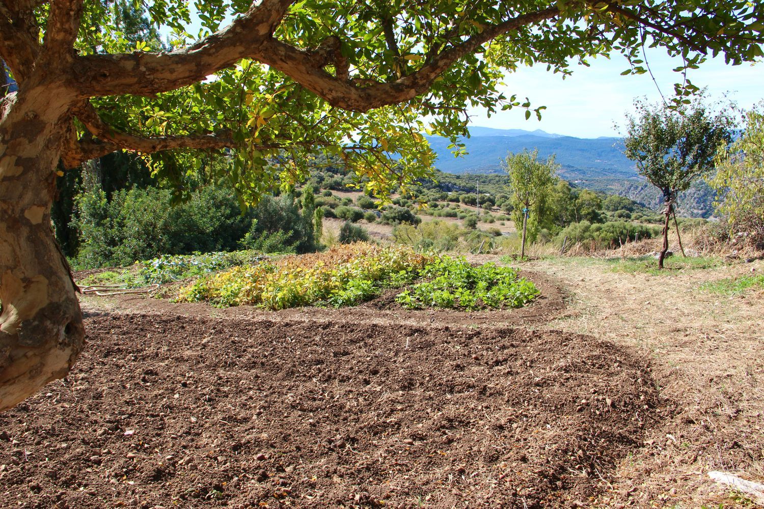 Casa rural en Avenida de Cadiz, 3 - Foto 37