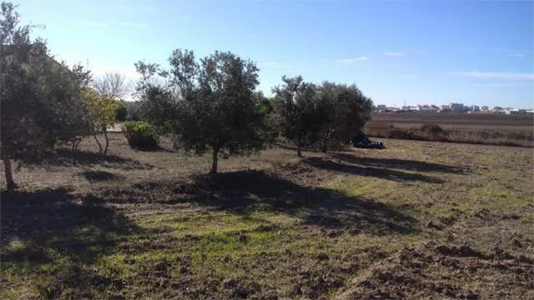 Chalet en Mesas de santa rosa - Foto 3