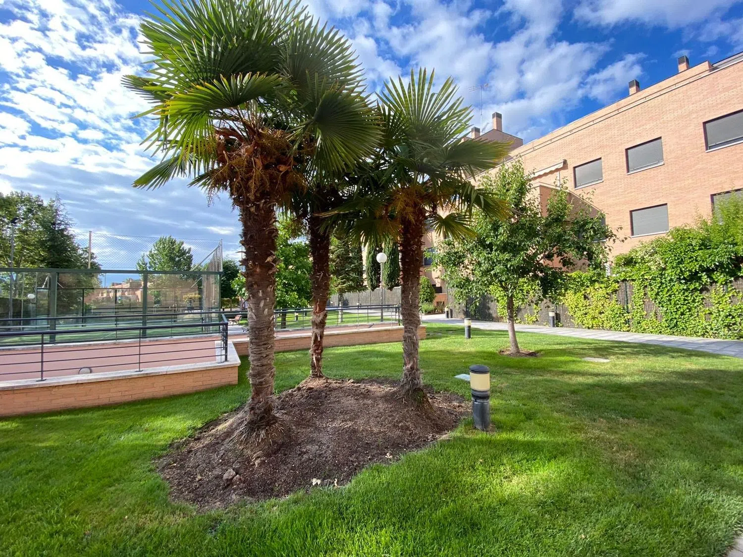 Piso en calle Salvia, 7 - Foto 20