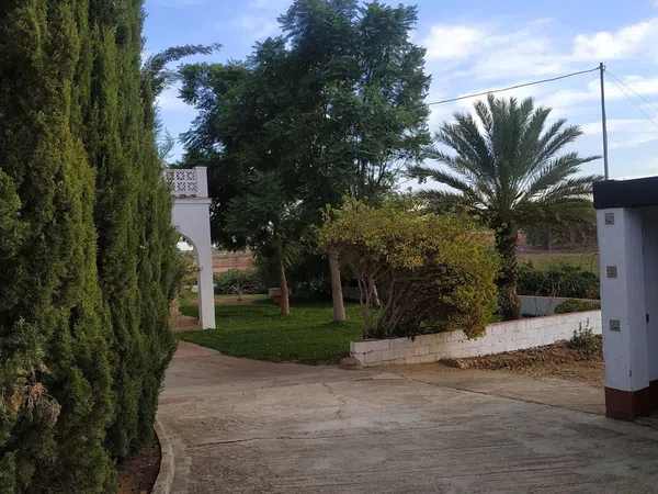 Finca rústica en Callejón del Antiguo Almacén (Prior), 1 - Foto 11
