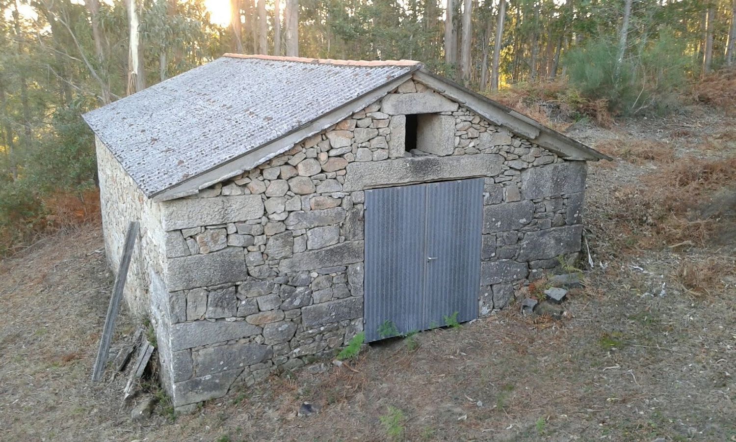Casa o chalet independiente en San Isidro s/n - Foto 2