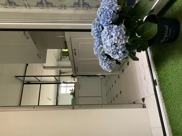 Piso en paseo de la Infanta Isabel, 12 - Foto 20