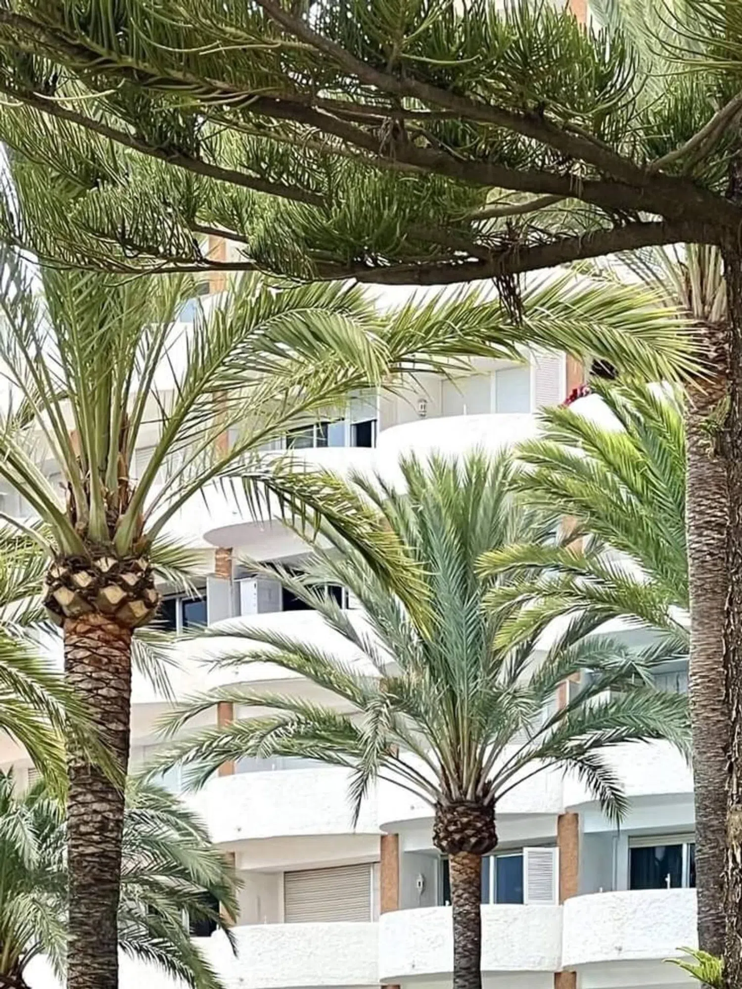 Estudio en cuesta Correa, 1 - Foto 24