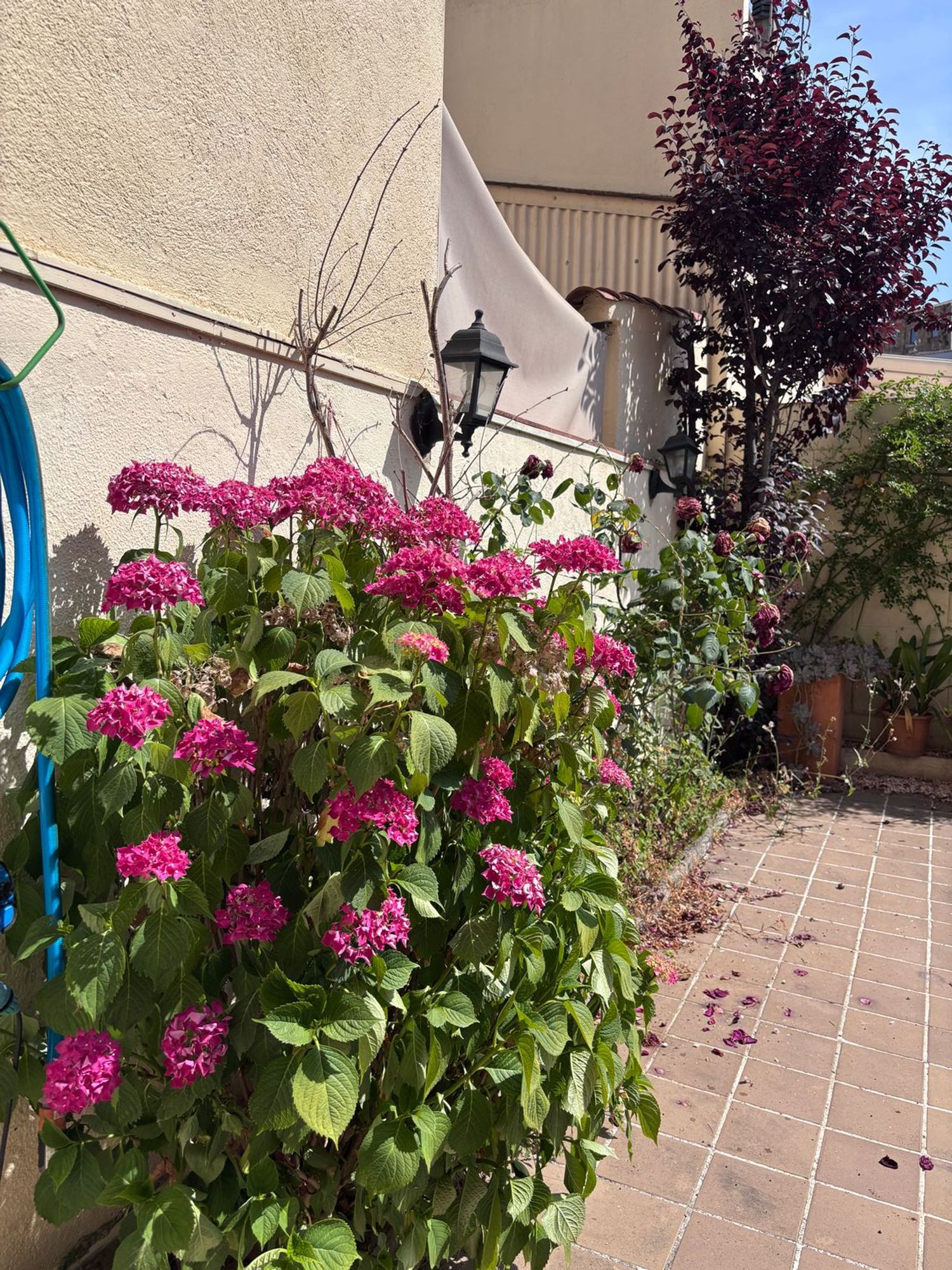 Chalet adosado en Llagostera - Foto 4