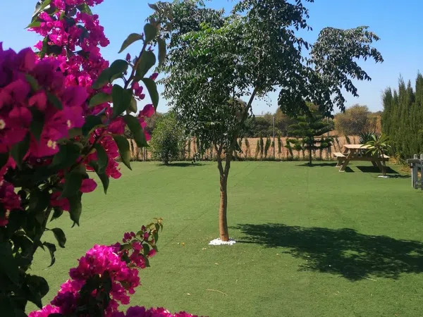 Casa rural en Carril de los Lopez s/n - Foto 3