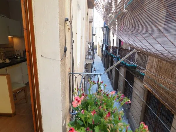 Piso en Calle de Sant Pere Mitjà, 10, Sant Pere - Santa Caterina i la Ribera - Foto 4