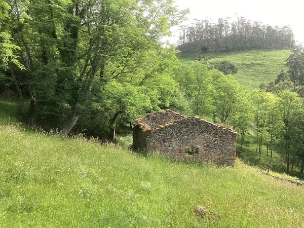 Casa rural en Avenida Alisas, 3 Km - Foto 10