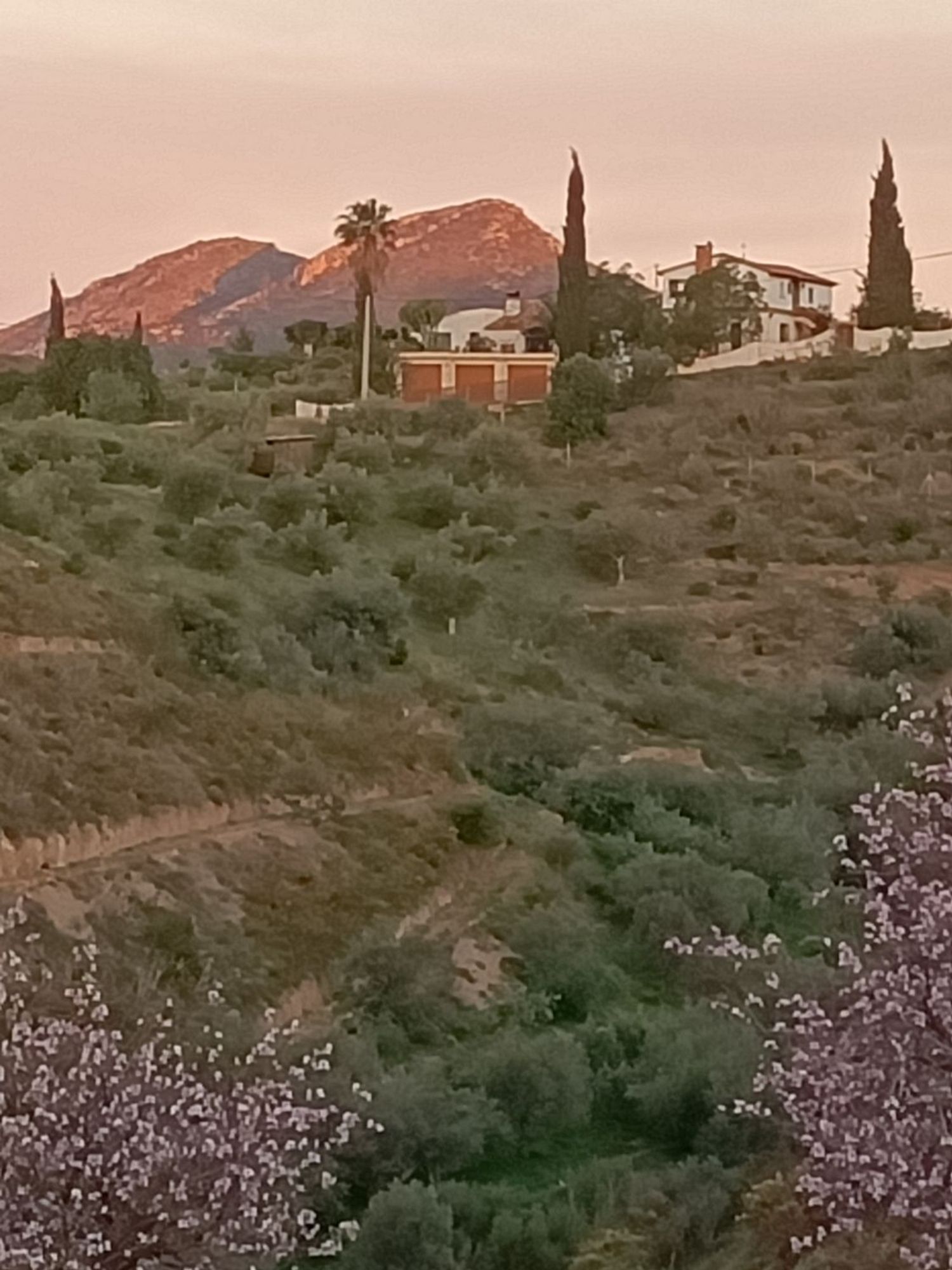 Piso en Calle Cariñena, 2, La Cala del Moral, La Cala del Moral - Foto 17