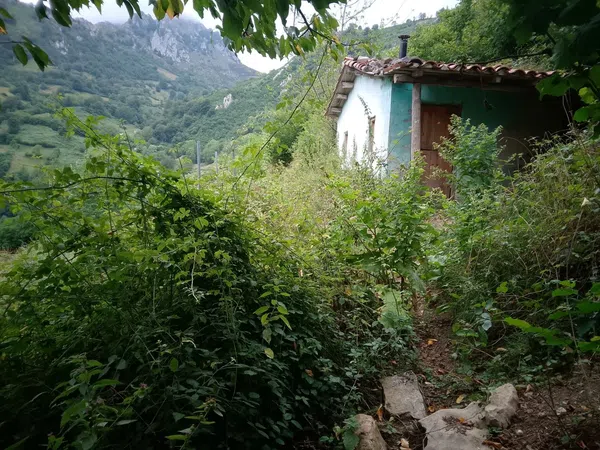 Casa de pueblo en Los Tornos, 17, 17 LosTornos - Foto 10