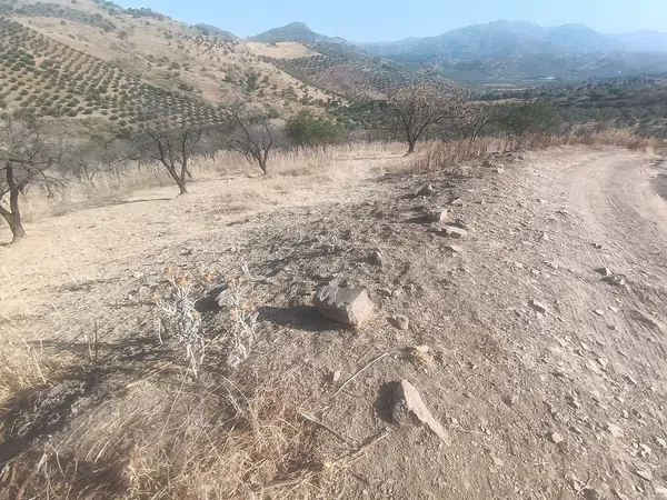 Cortijo en Cortijo en Las Rozas s/n - Foto 16