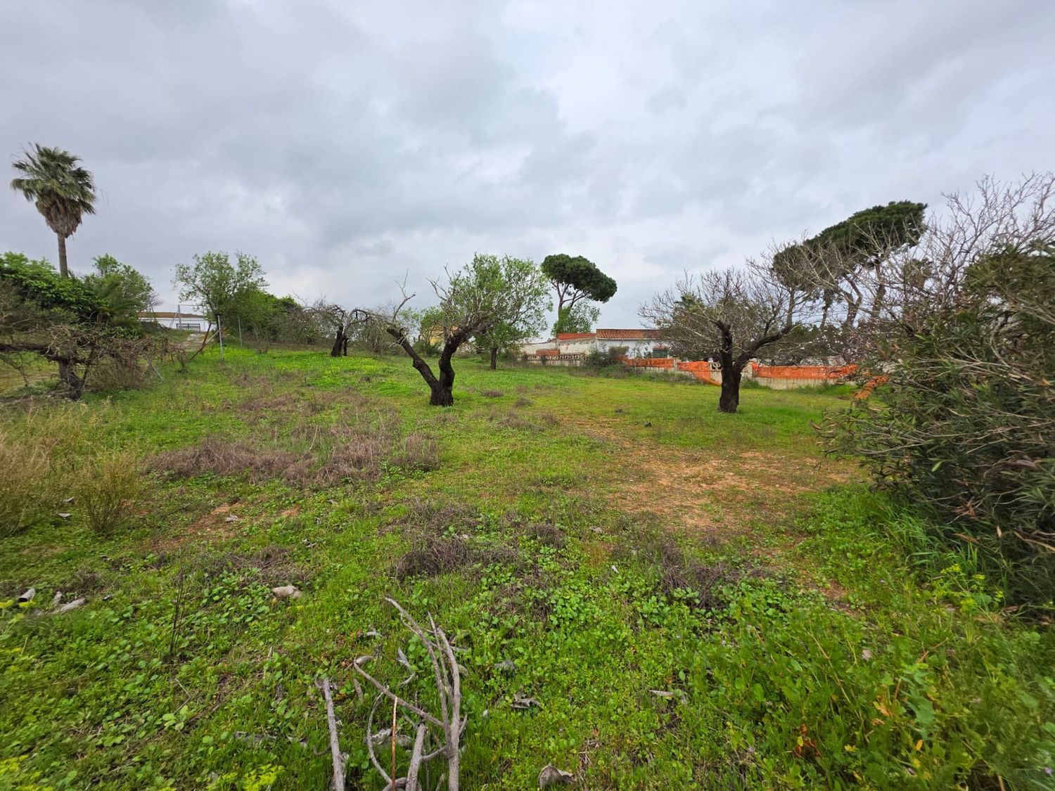 Casa independiente en camino del Guadalmesí, 9 - Foto 20