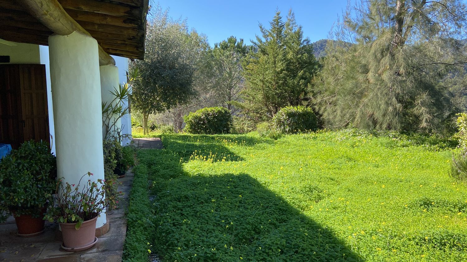 Finca rústica en Ma-8301 s/n - Foto 16