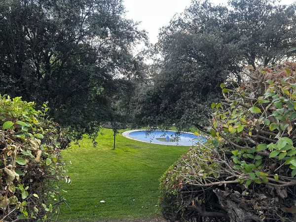 Chalet adosado en Avenida de Sóller, 11, El Pinar- Punta Galea - Foto 36