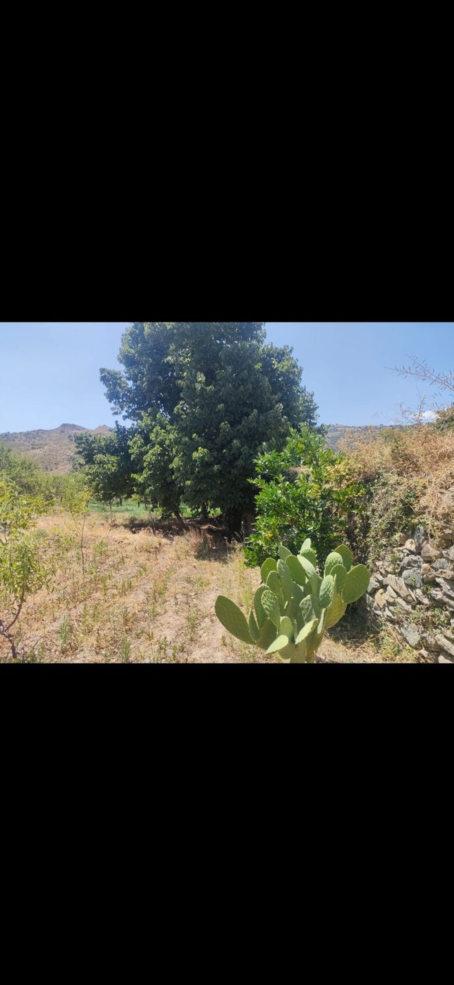 Casa de pueblo en Camino Cadiar Narila, 2 - Foto 4