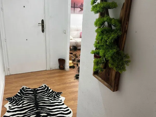 Piso en Calle Pintor Gisbert, 55 - Foto 13