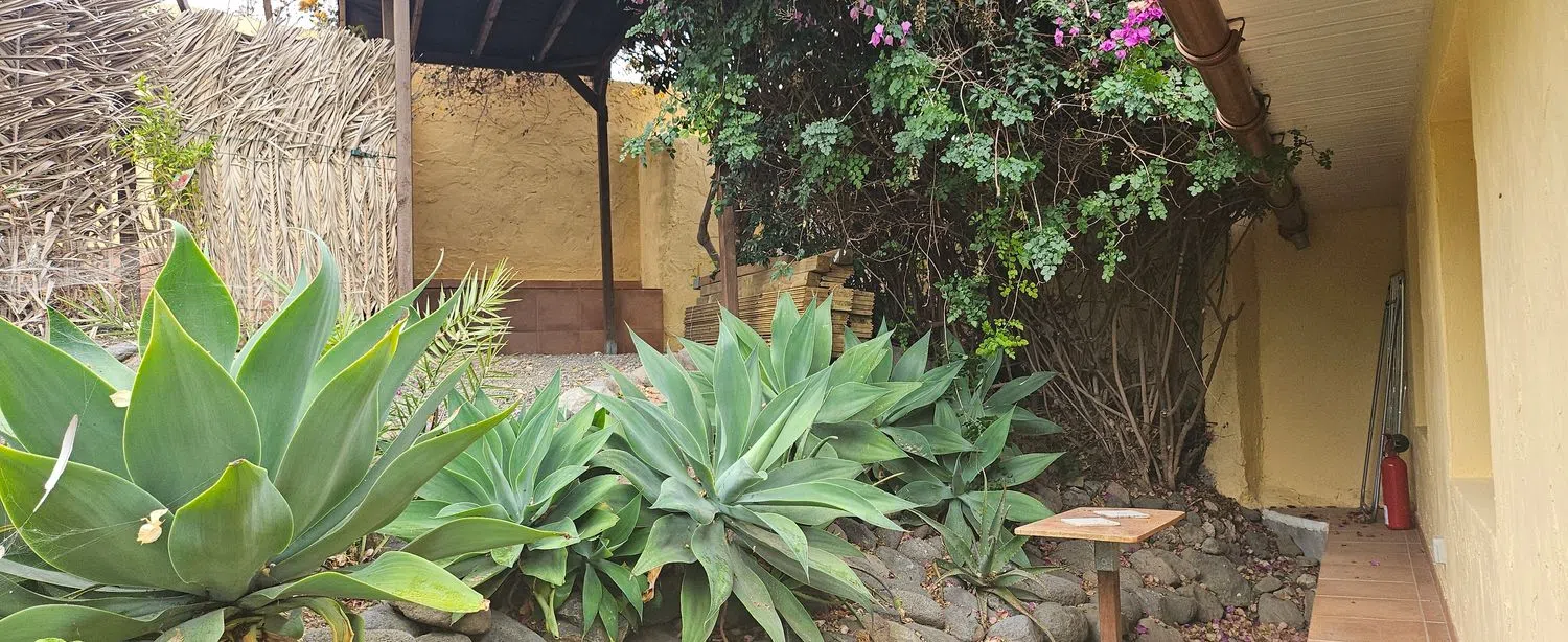 Finca rústica en camino a Cuevas del Monte, 13 - Foto 5