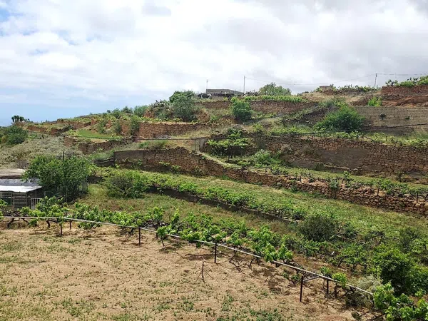 Finca rústica en Crta ortiz s/n - Foto 21