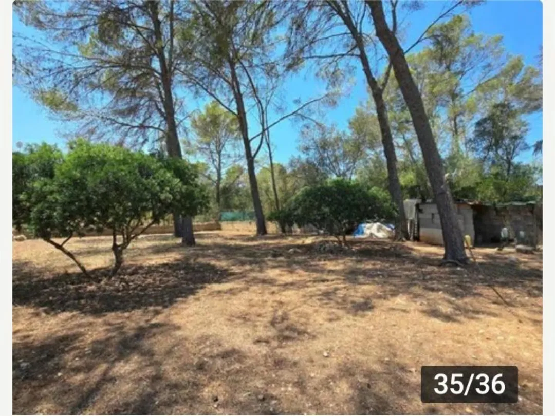 Finca rústica en  Diseminado 8746- Sa Casa Blanca 1 - Foto 31