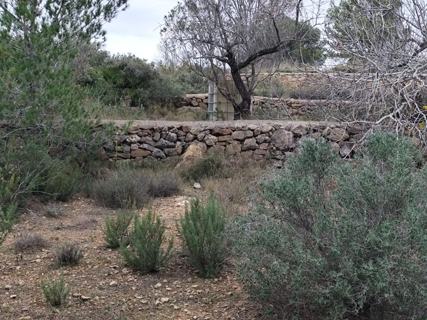 Finca rústica en  Avinguda Saragossa 2 - Foto 12